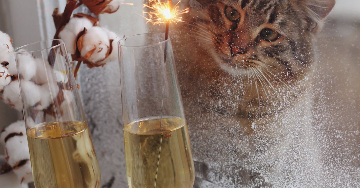 Factors to Consider When Hiring Glass Repair Professionals