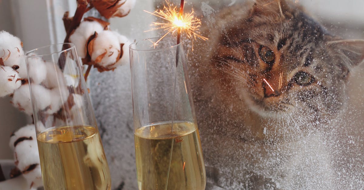 How Climate Affects the Installation of Commercial Windows