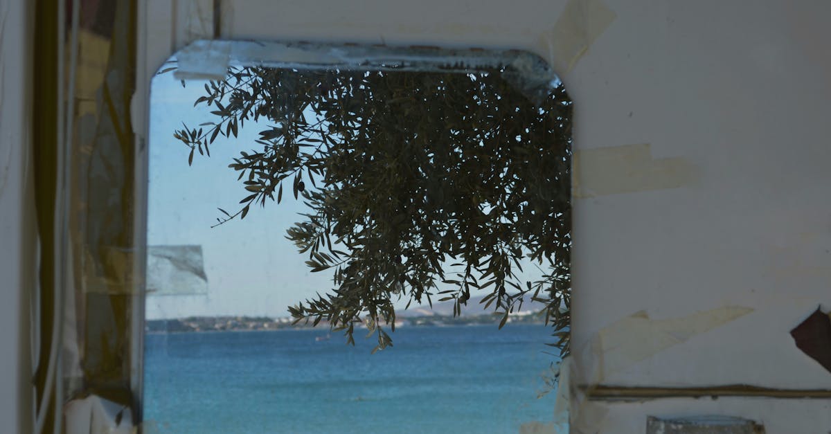 Innovations in Double Glazed Window Technology