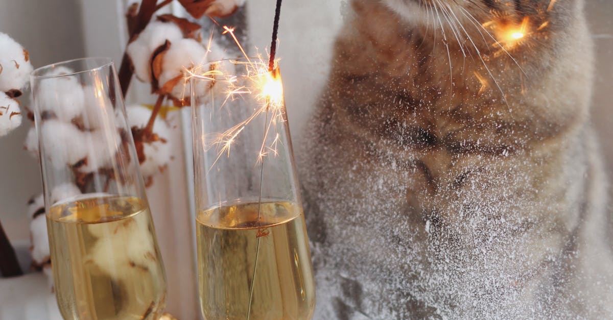 The Installation Process of Energy-Efficient Windows Explained